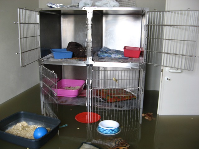 Area sanitaria